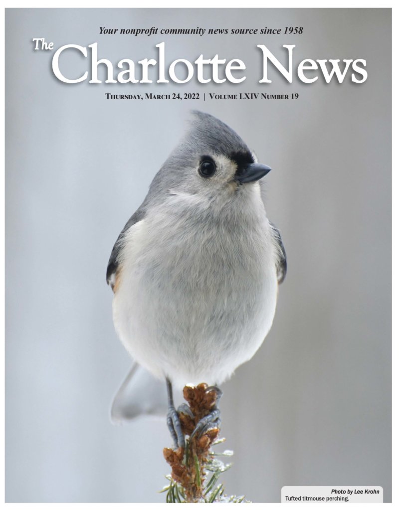 Home - The Charlotte News