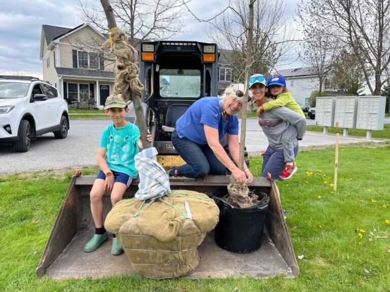 Hinesburg residents try tree planting for Green Up Day on the Town Common