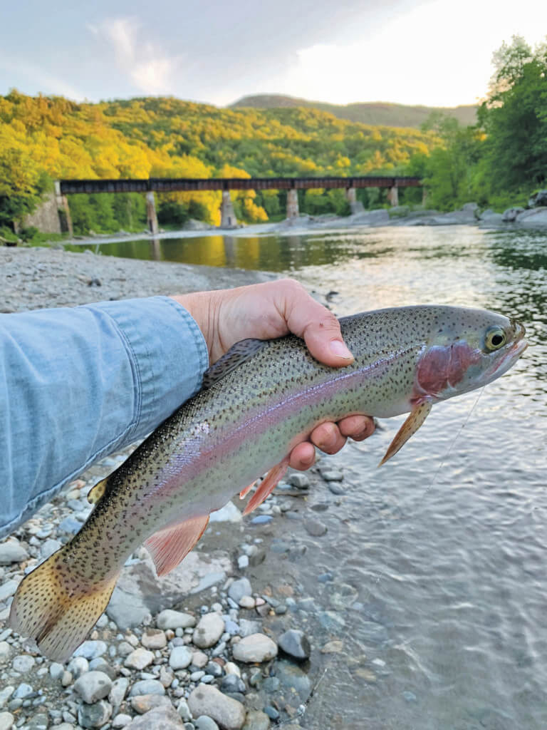 Profound lessons learned from a Winooski rainbow