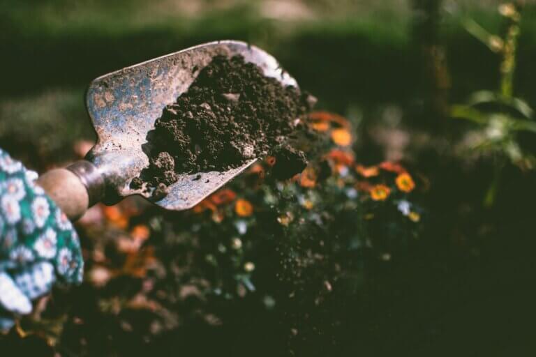 Screening garden soils for lead