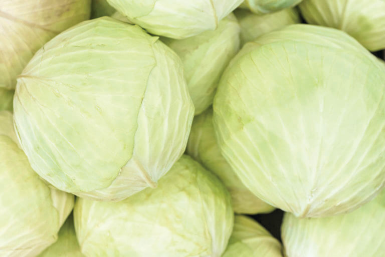 Enjoy the ‘virtuous’ cabbage with Asian crunch salad