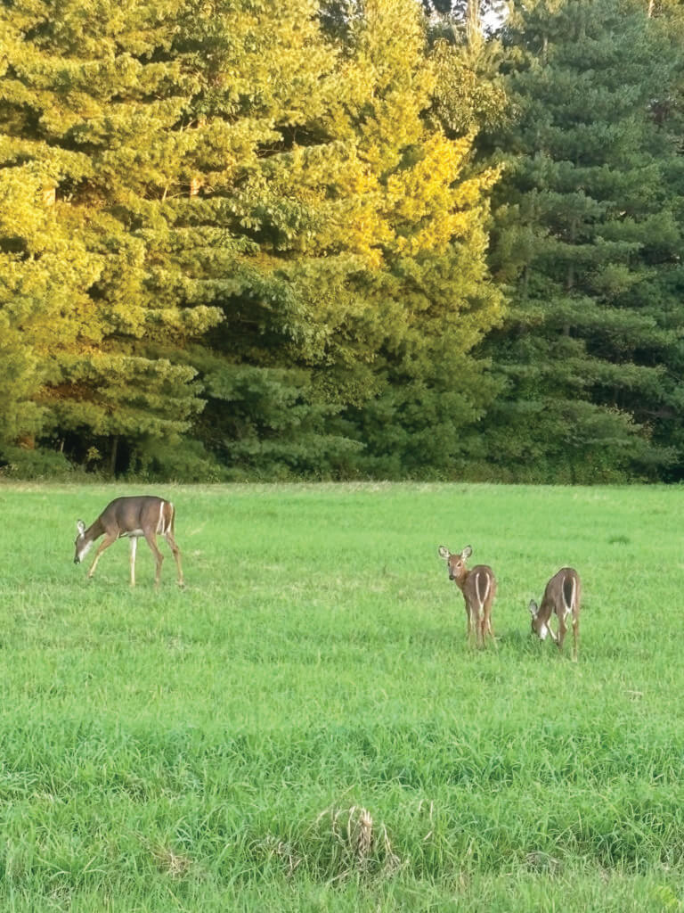 Blessings of life permeate the changing of the seasons