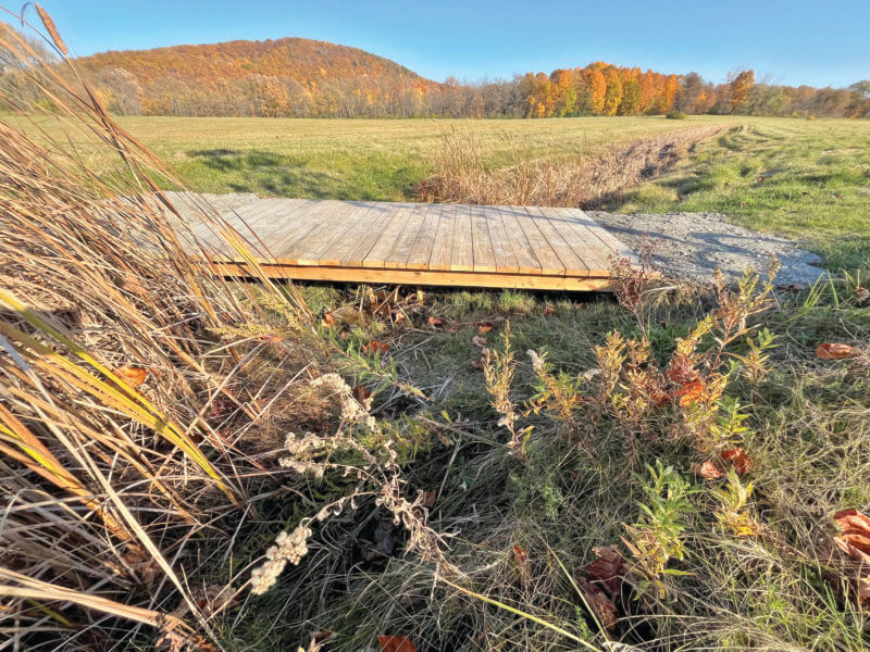 Photo by Bill Regan. Jack Pilla built this walkway on the Village Loop.