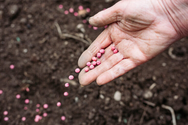 With brink of fall, it’s a good time for gathering seeds