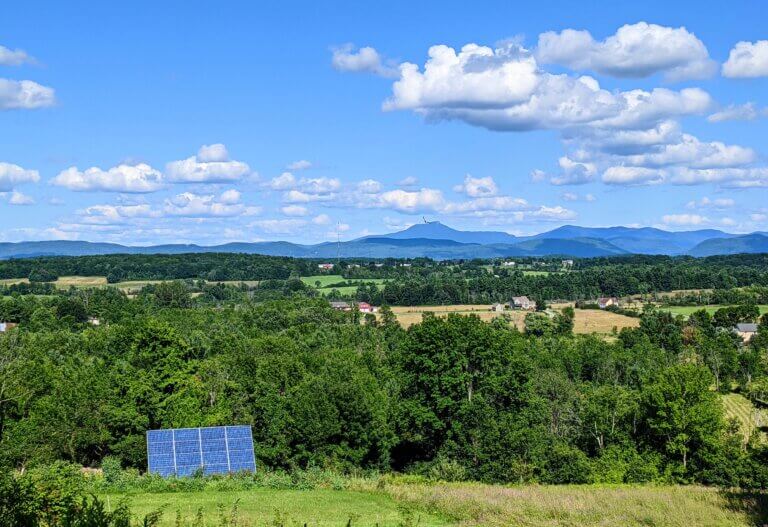 A vision of healthy and abundant wildlife habitat in Charlotte