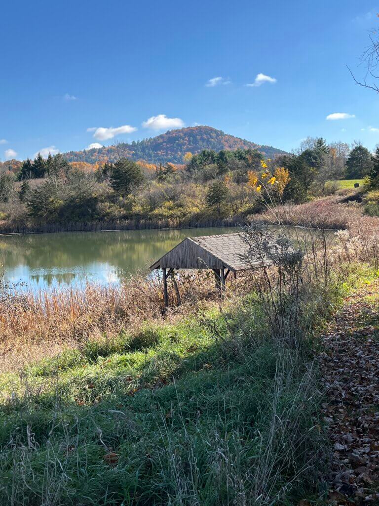 From summit to lake: A walk from Mt. Philo to town beach