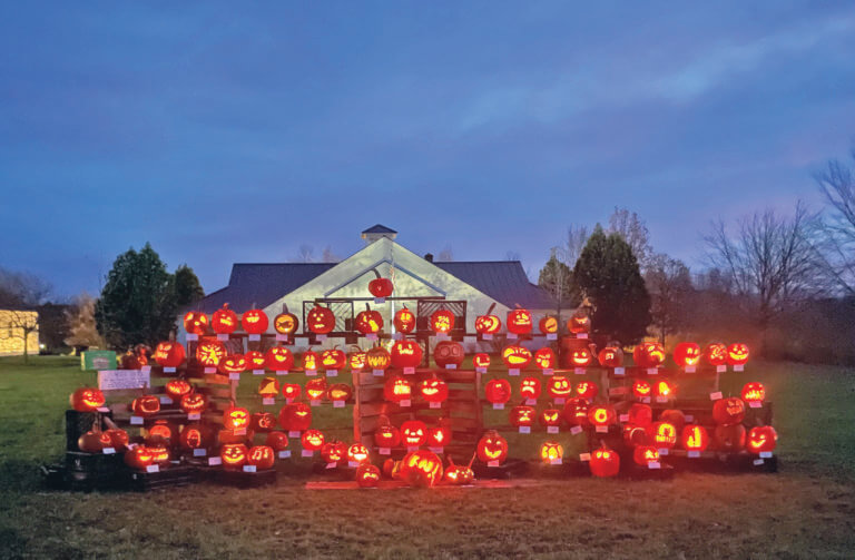 More than 80 pumpkins carved for jack-o’-lantern display